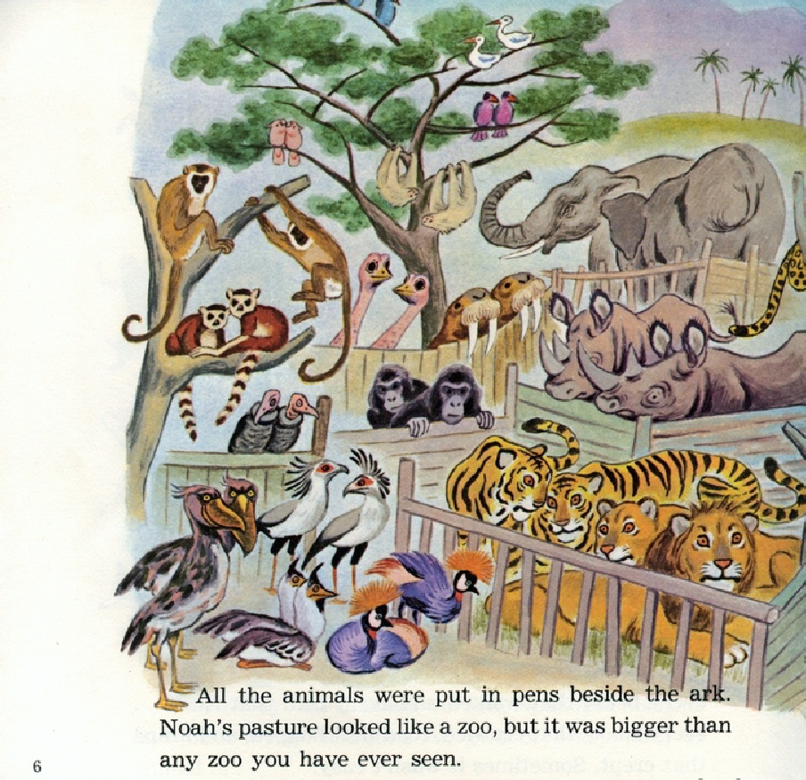 Noah's Ark (08),绘本,绘本故事,绘本阅读,故事书,童书,图画书,课外阅读